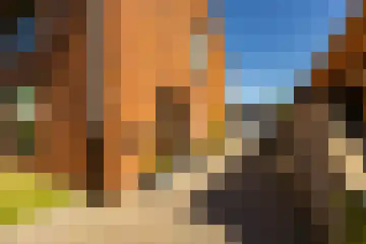 Pop Dijkemaweg 18 Groningen thumbnail 41
