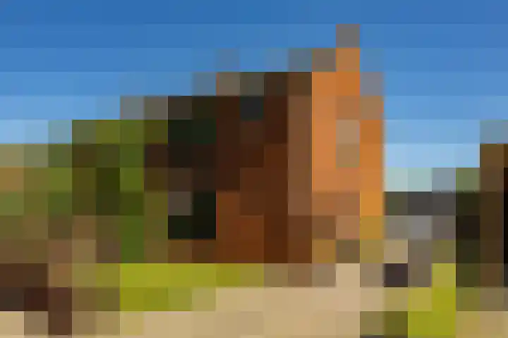 Pop Dijkemaweg 18 Groningen thumbnail 48