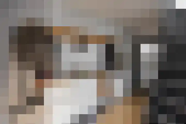 Pop Dijkemaweg 18 Groningen thumbnail 7