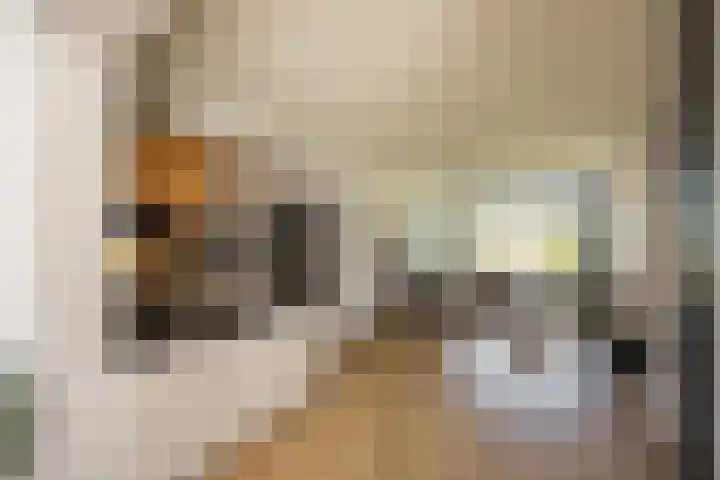 Pop Dijkemaweg 18 Groningen thumbnail 8