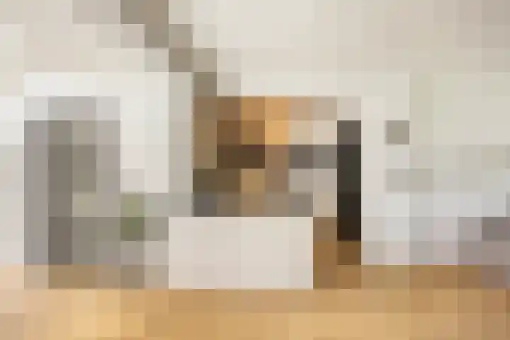 Pop Dijkemaweg 18 Groningen thumbnail 9
