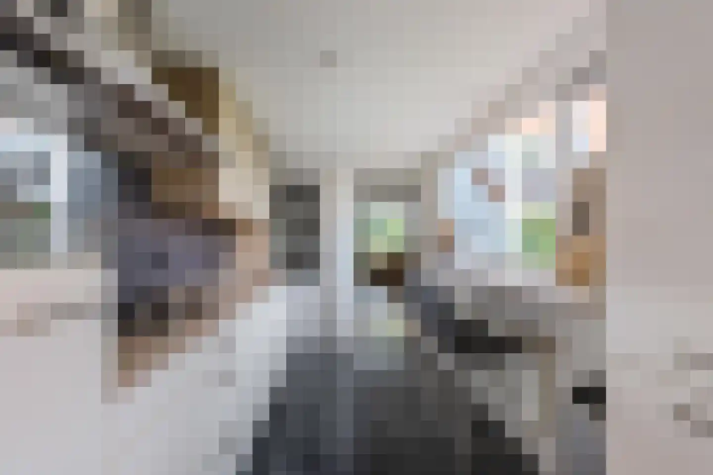 Pop Dijkemaweg 22 Groningen thumbnail 10