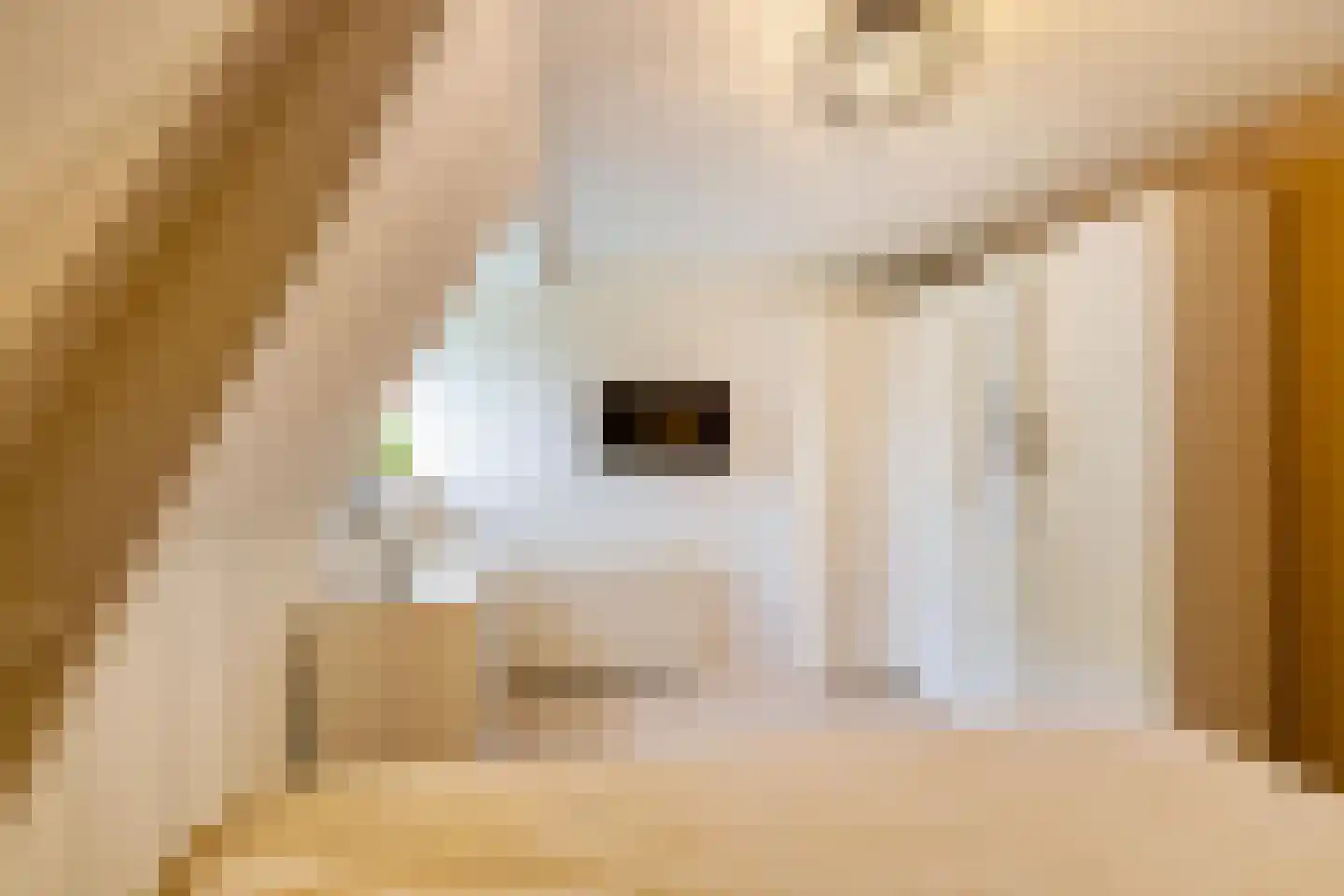 Pop Dijkemaweg 22 Groningen thumbnail 21