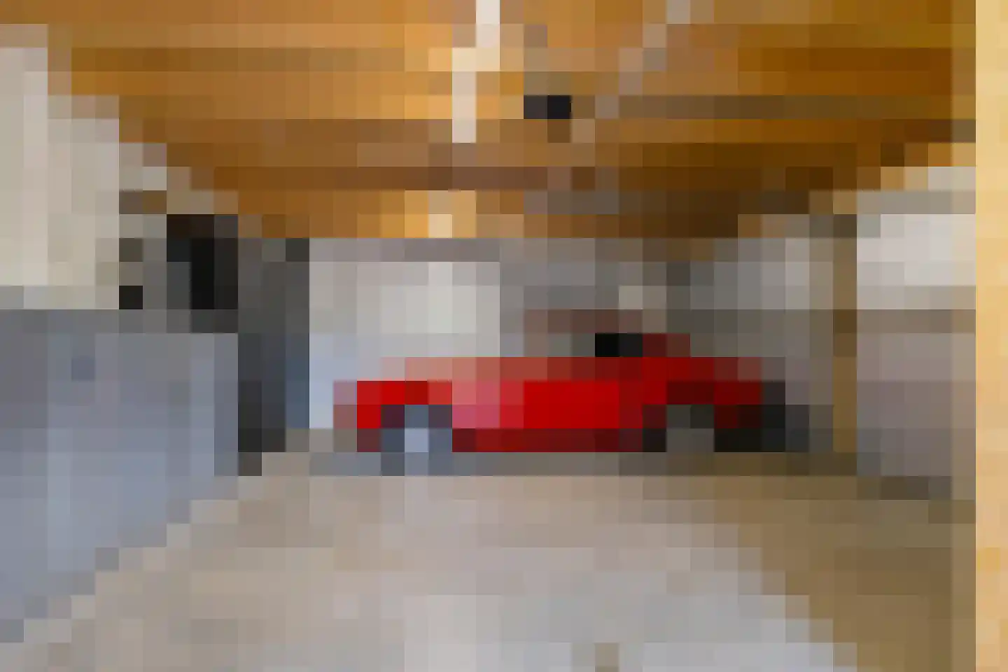 Pop Dijkemaweg 22 Groningen thumbnail 33
