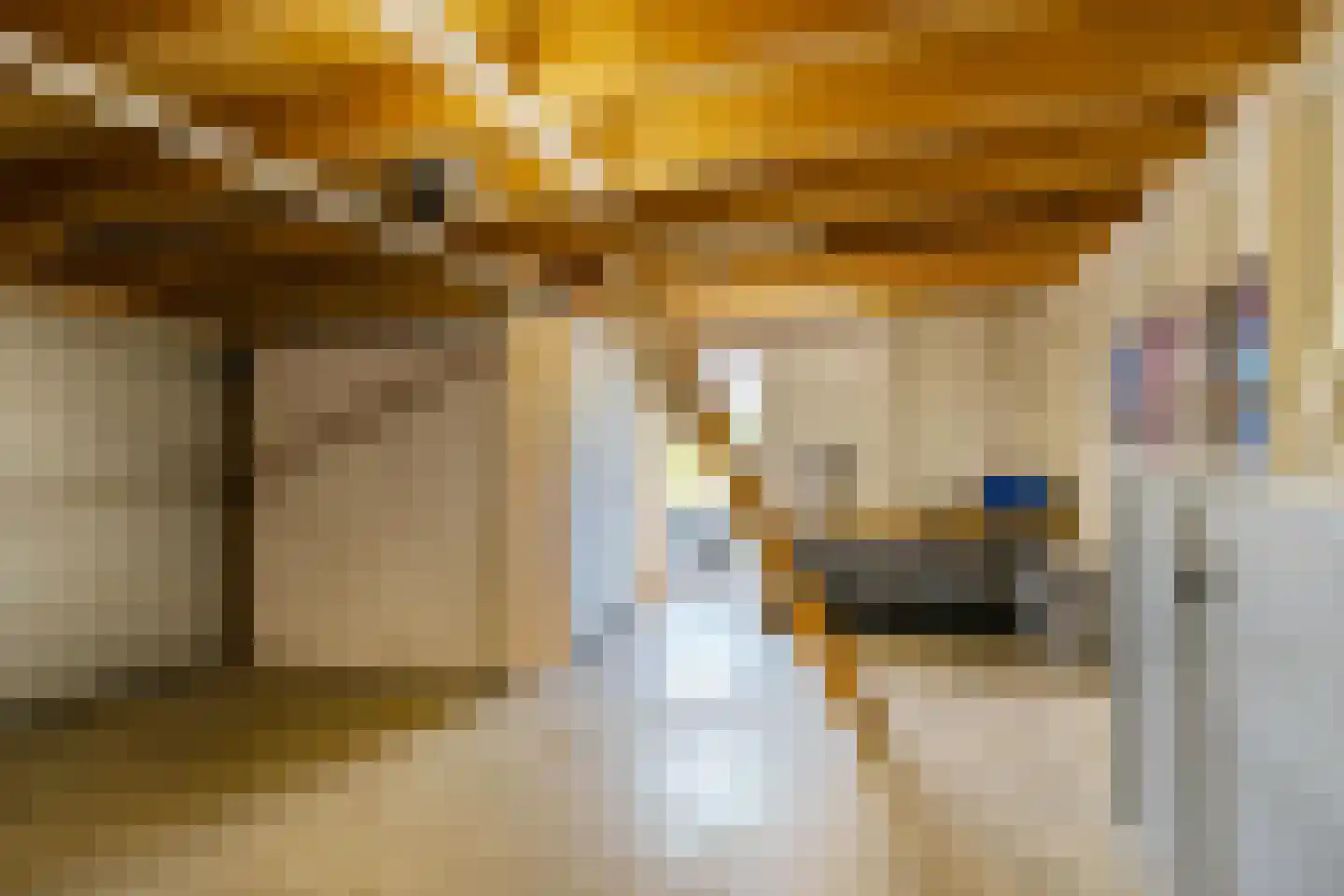 Pop Dijkemaweg 22 Groningen thumbnail 34