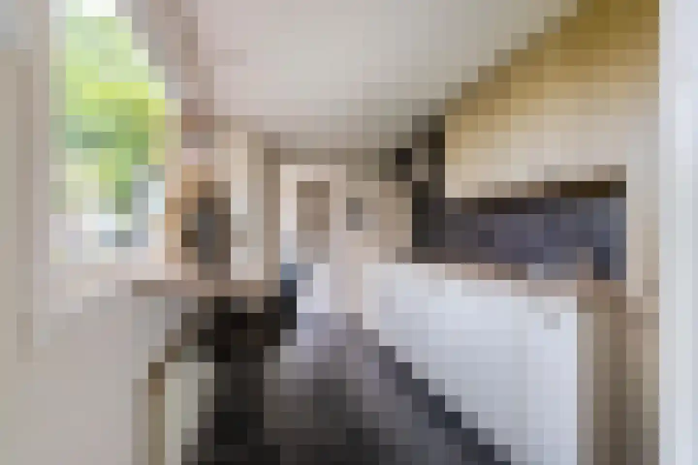 Pop Dijkemaweg 22 Groningen thumbnail 9