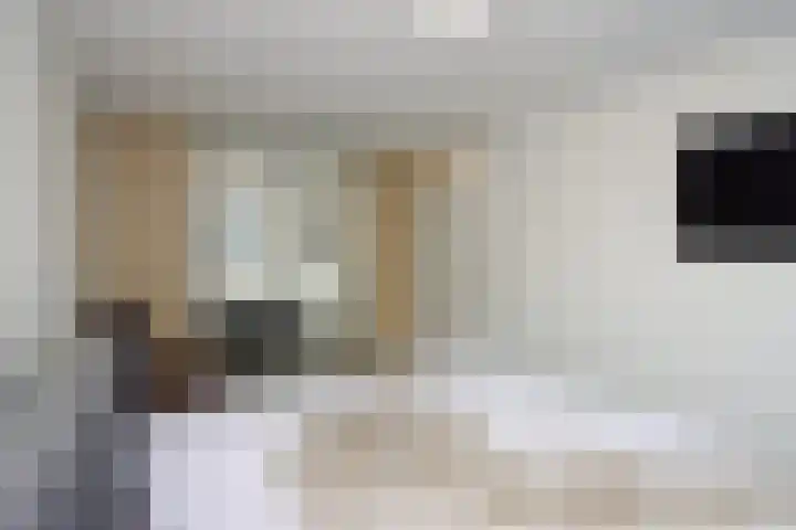 Popart 35 Dronten thumbnail 17