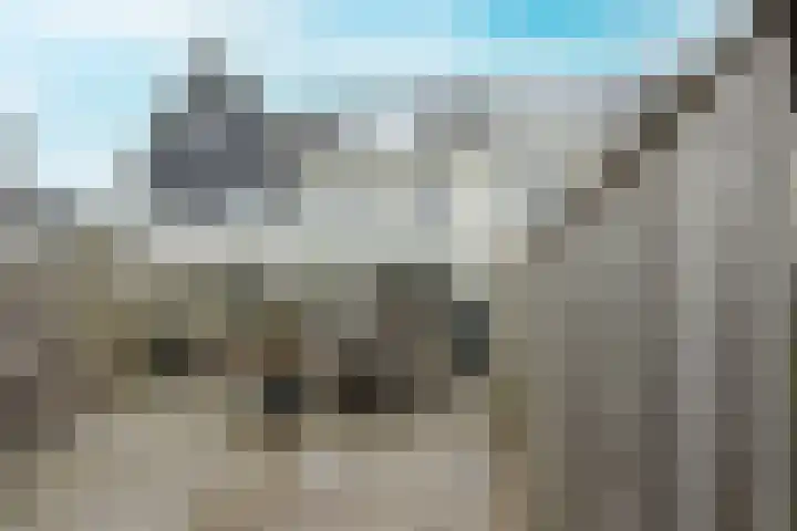 Popart 35 Dronten foto 2