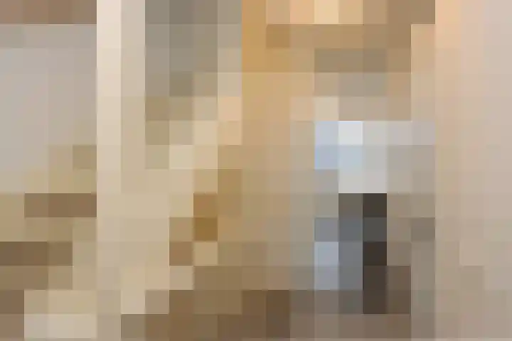 Popart 35 Dronten thumbnail 24
