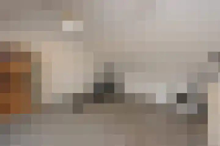 Popart 35 Dronten thumbnail 27