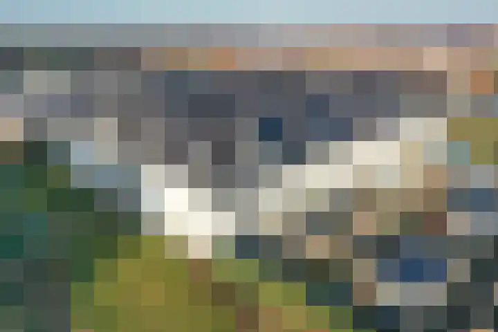 Popart 35 Dronten thumbnail 29