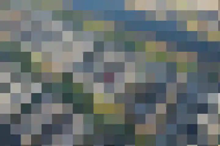 Popart 35 Dronten foto 3