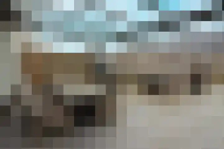 Popart 35 Dronten thumbnail 31
