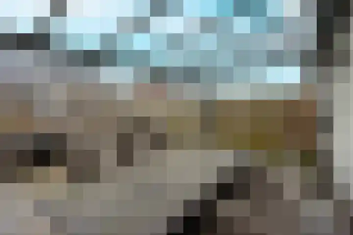 Popart 35 Dronten thumbnail 32