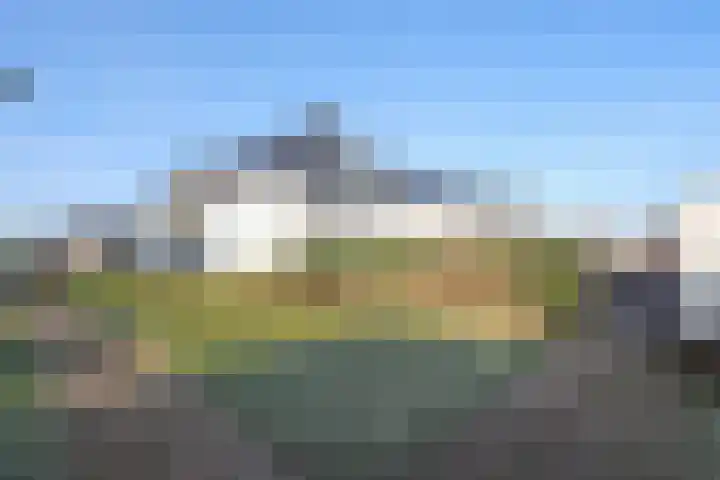 Popart 35 Dronten thumbnail 36