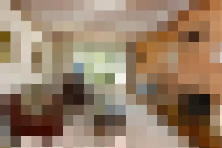 Popart 35 Dronten thumbnail 42