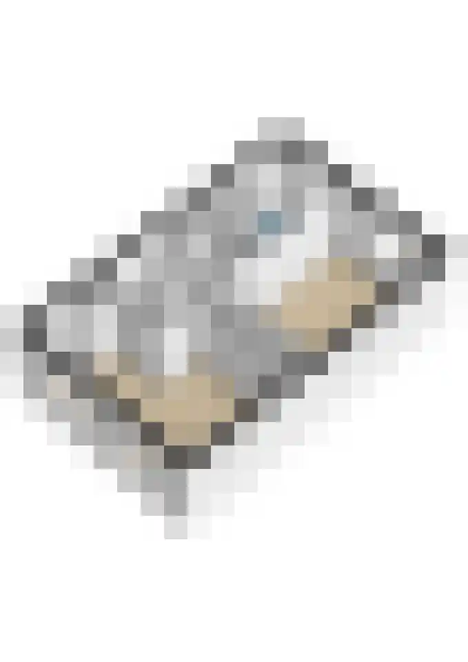 Popart 35 Dronten thumbnail 46