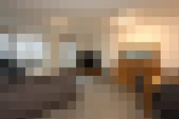 Popart 35 Dronten thumbnail 8