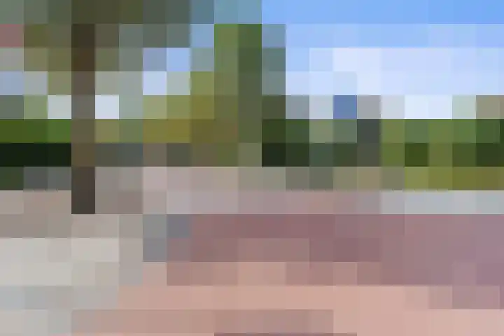 Popart 37 Dronten thumbnail 15