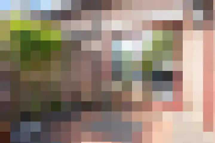 Popart 37 Dronten thumbnail 17