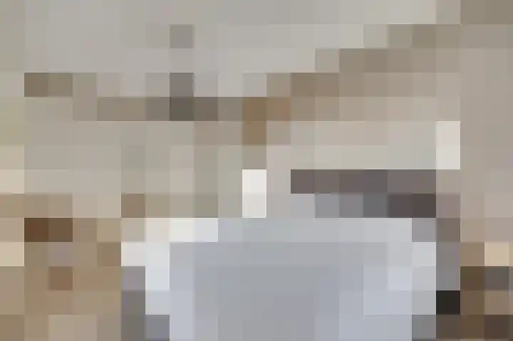 Popart 37 Dronten thumbnail 19