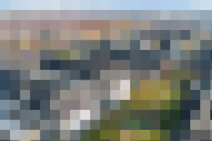 Popart 37 Dronten thumbnail 36