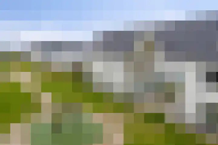 Popart 39 Dronten thumbnail 33