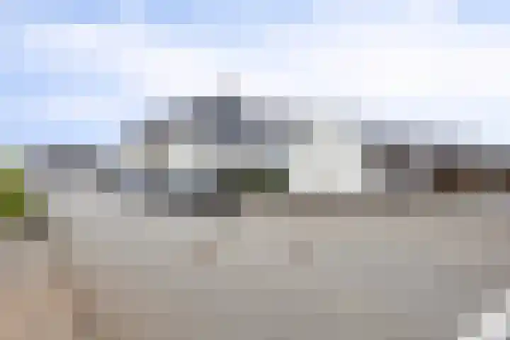 Popart 39 Dronten thumbnail 34