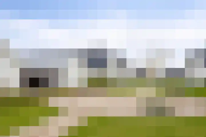 Popart 39 Dronten thumbnail 39