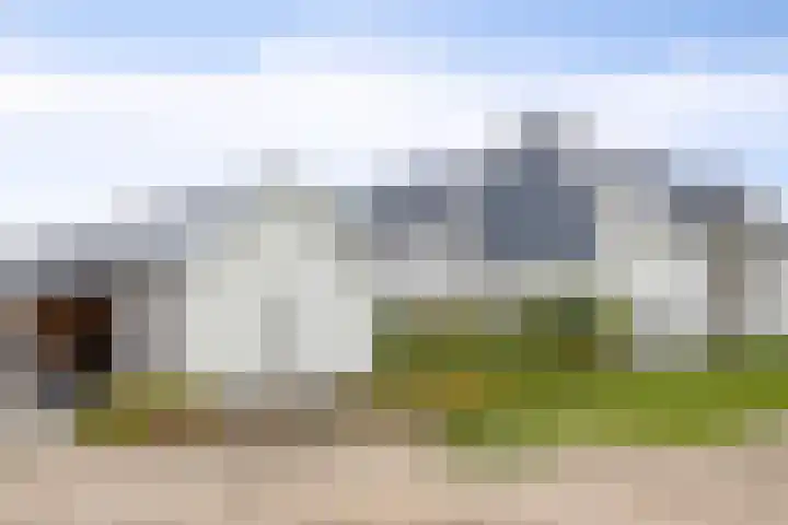 Popart 39 Dronten thumbnail 40