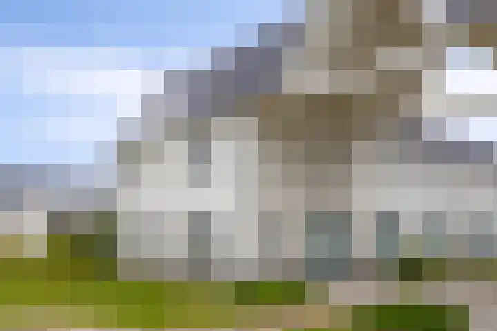 Popart 39 Dronten thumbnail 45
