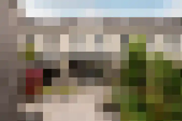Popart 75 Dronten thumbnail 36