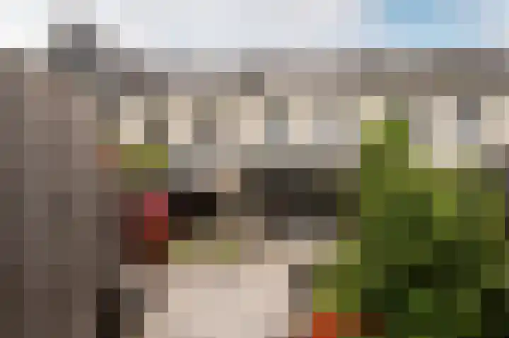 Popart 75 Dronten thumbnail 37