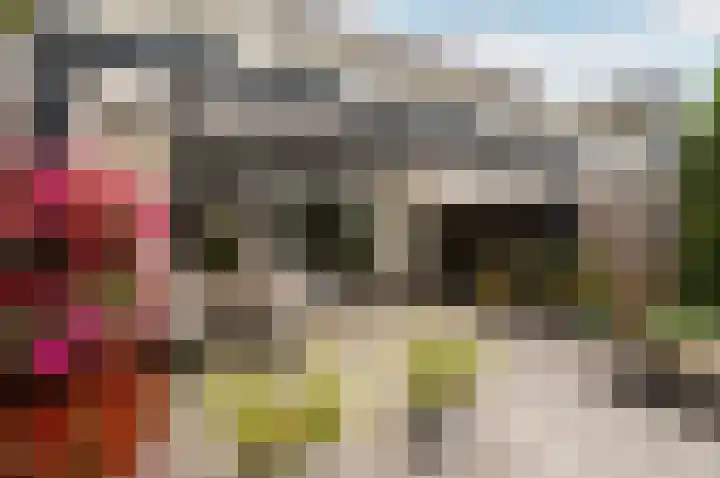 Popart 75 Dronten thumbnail 38