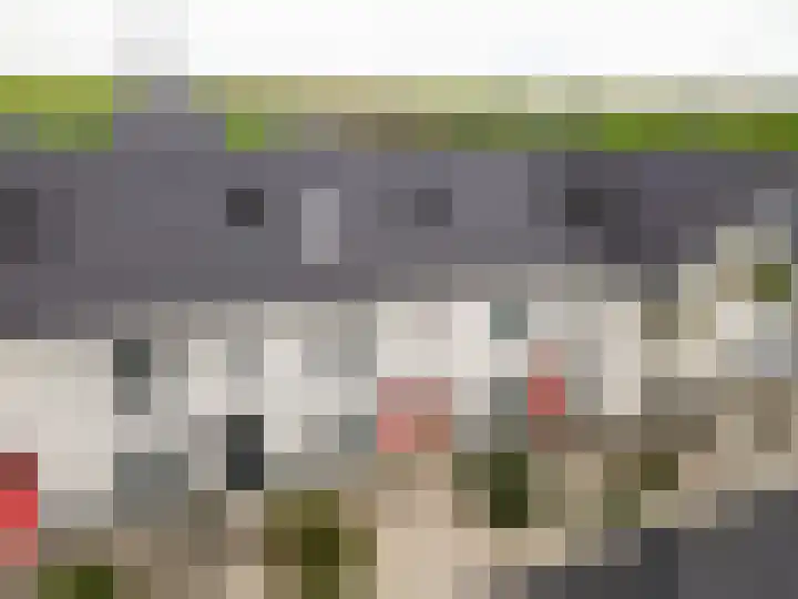 Popart 75 Dronten thumbnail 46