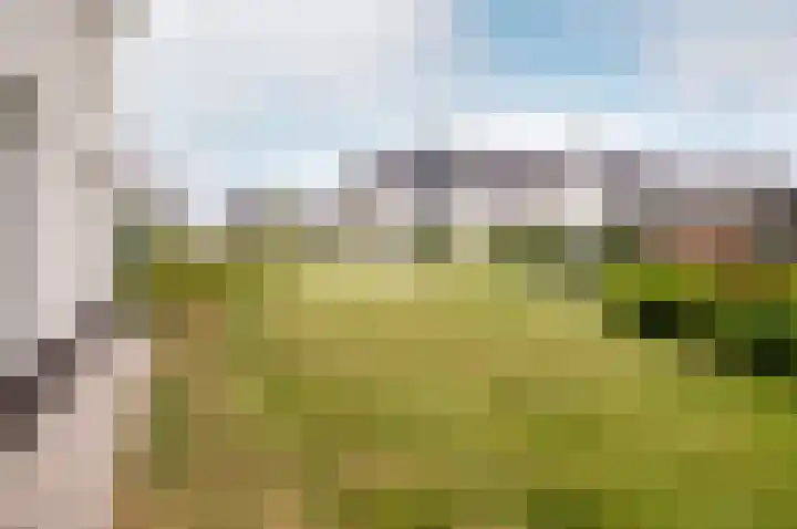Popart 75 Dronten thumbnail 49