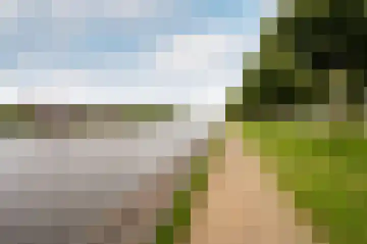 Popart 75 Dronten thumbnail 50