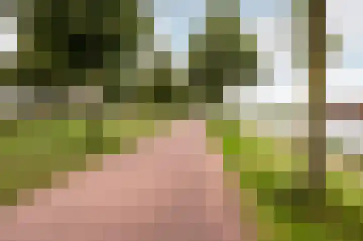 Popart 75 Dronten thumbnail 51