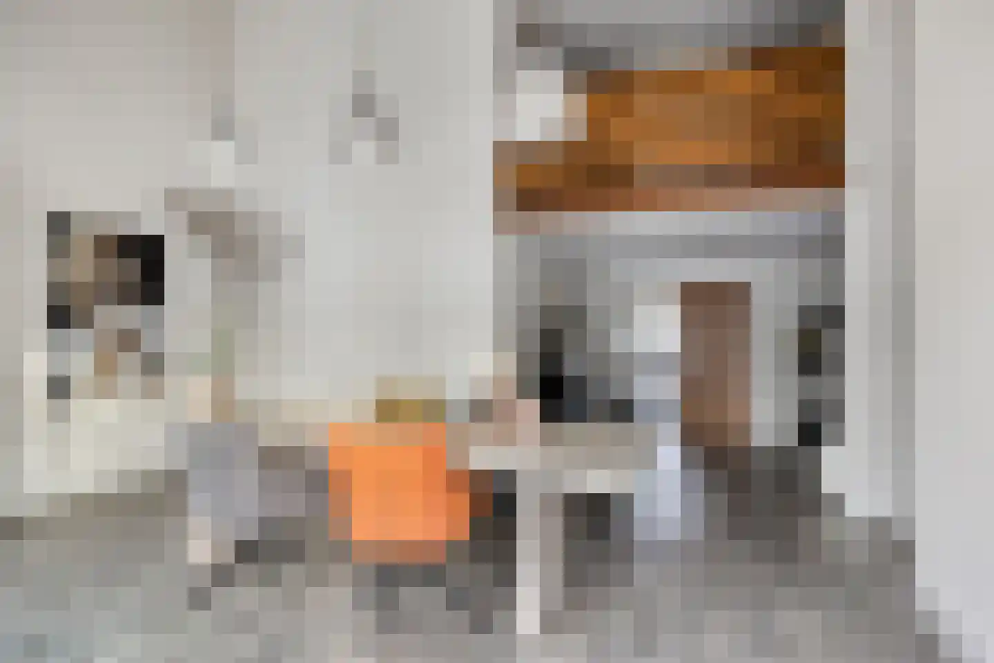 Popelenburg 19 Pijnacker thumbnail 16