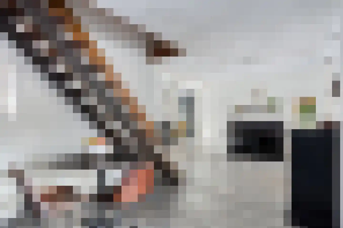 Popelenburg 19 Pijnacker thumbnail 29