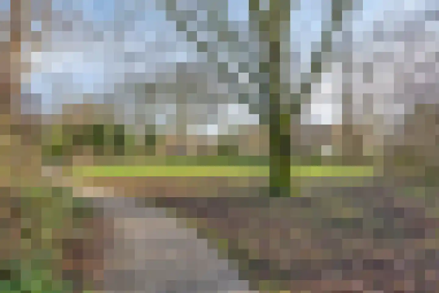 Popelenburg 19 Pijnacker thumbnail 49