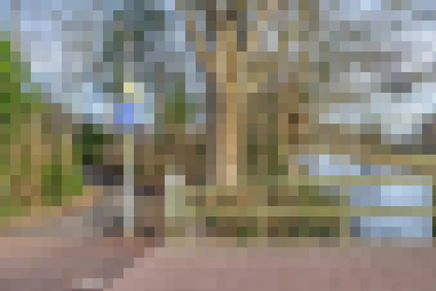 Popelenburg 19 Pijnacker thumbnail 50