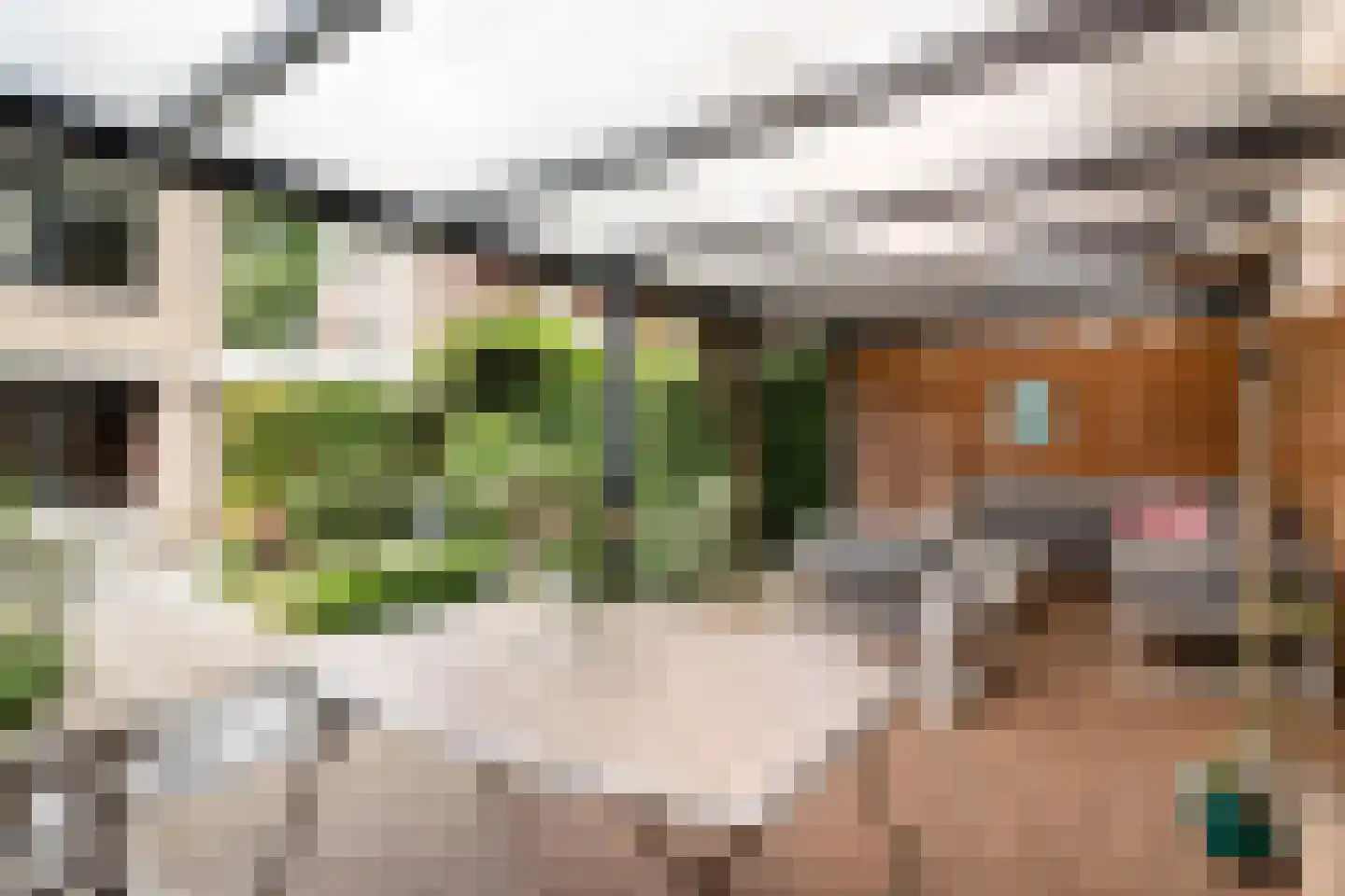 Popelenburg 5 Pijnacker thumbnail 17