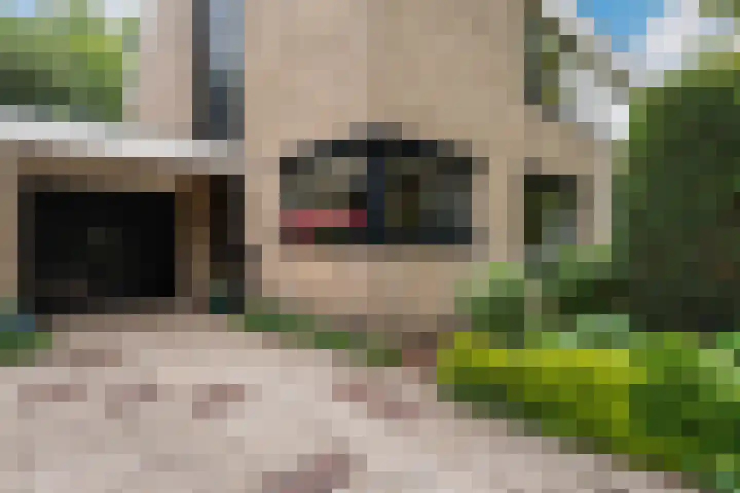 Popelenburg 5 Pijnacker thumbnail 41