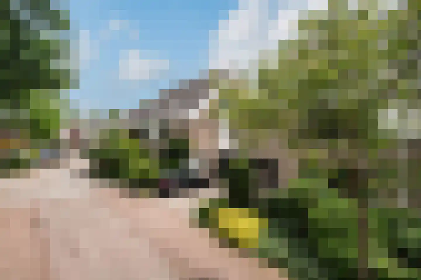 Popelenburg 5 Pijnacker thumbnail 42