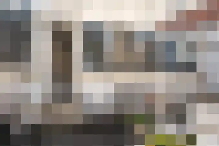 Popelingstraat 15 Haarlem thumbnail 30