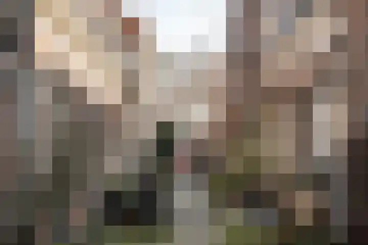 Popelingstraat 15 Haarlem thumbnail 36