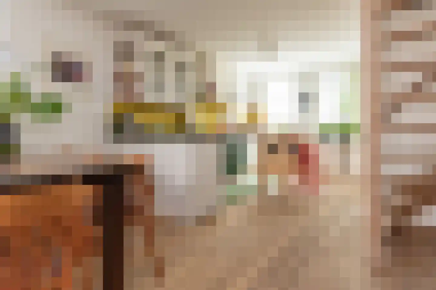 Popelmanslaan 2 Alkmaar thumbnail 11