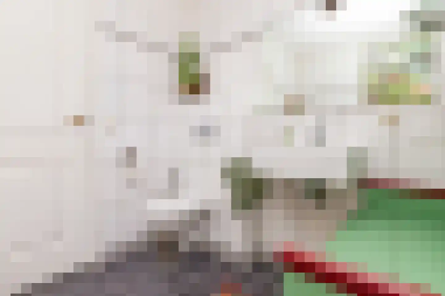 Popelmanslaan 2 Alkmaar thumbnail 21