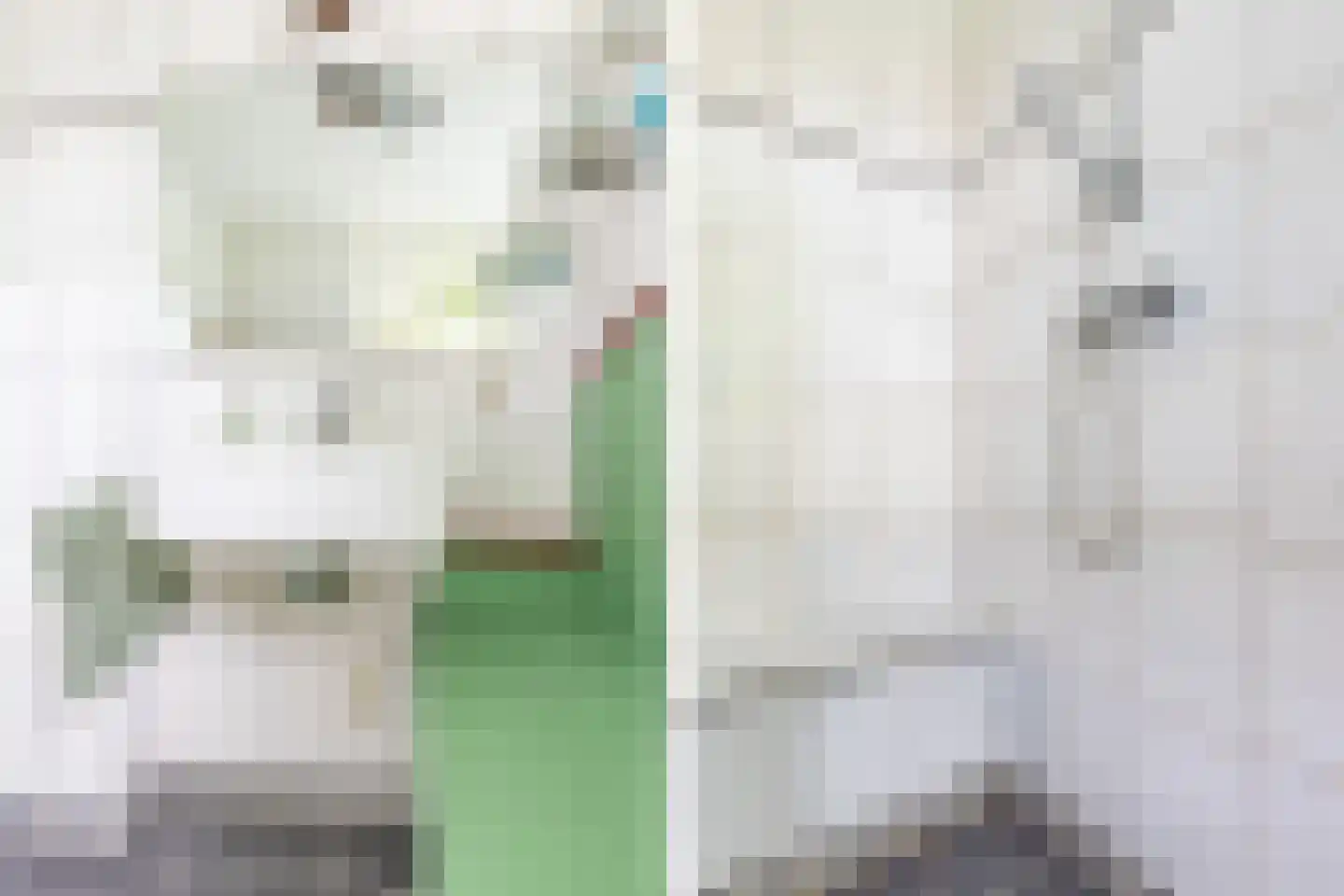 Popelmanslaan 2 Alkmaar thumbnail 22